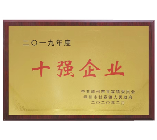 Top 10 enterprises-Shengzhou Shuanggang Electric Co., Ltd