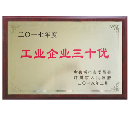 Top 30 industrial enterprises-Shengzhou Shuanggang Electric Co., Ltd
